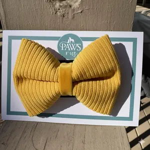 Classic Corduroy Dog or Cat Bow Tie -  Yellow - 3 Sizes