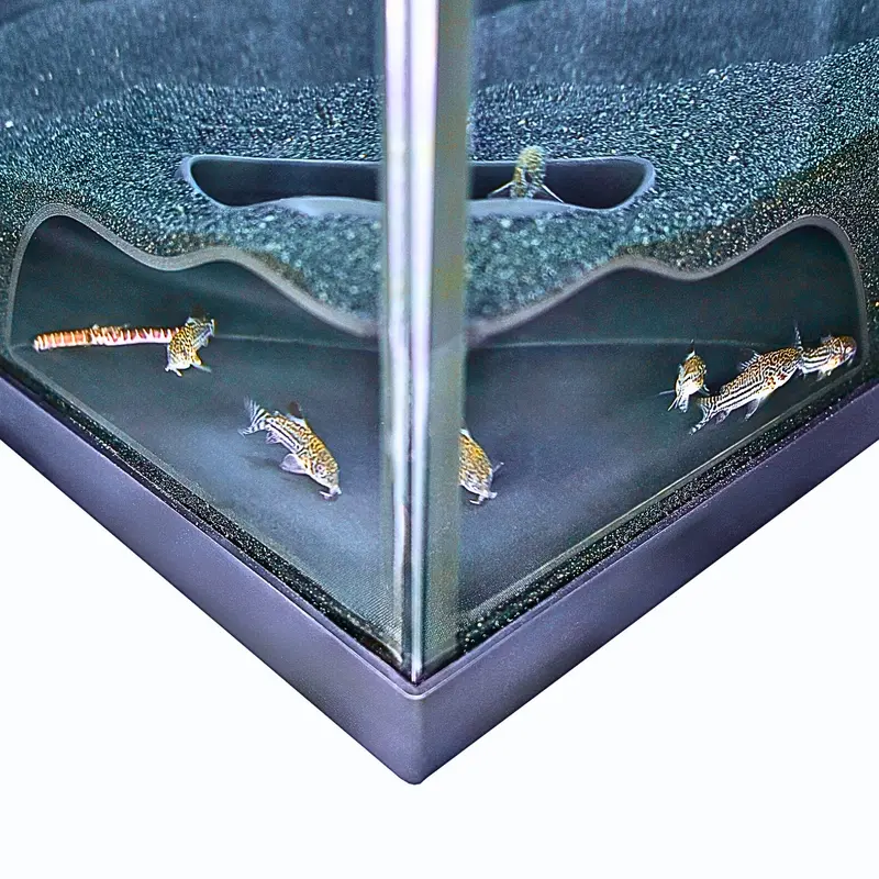 Aquarium Underground Corner Cave Natural Curve | Viewing Fish & Shrimp Under Gravel Tunnel | Fish Tank Decor Decoration Hideout Perfect for Corydora Catfish, Kuhli Loach, Pleco