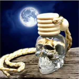 car air freshener + Skull Glass fragrance diffuser + black ice