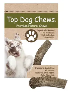 Elk Antler Dog Treat- Small - 1 Piece