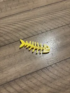 Flexie fish skeleton. Fun fidget fish good for people of all ages