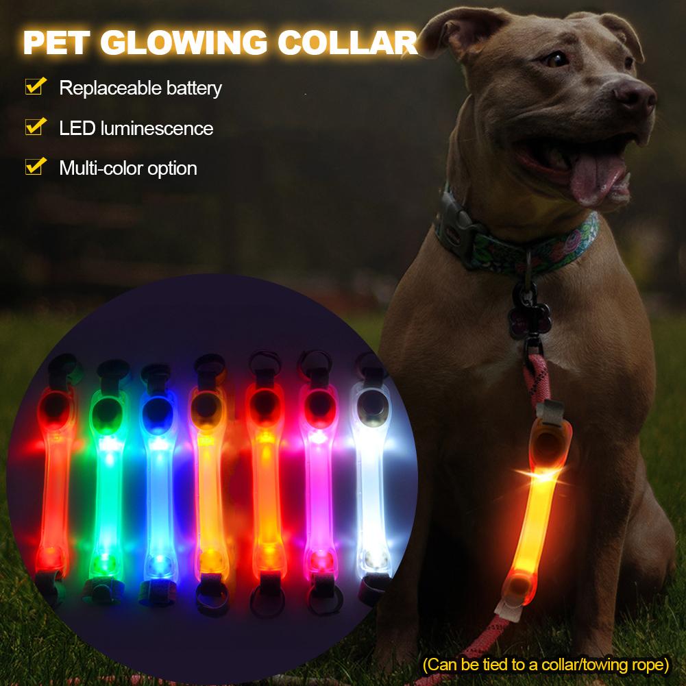 Collar (Glow) - Dog Anti Lost Safety Glowing Collar Outdoor Waterproof Warning LED Flashing Light Strip for Pet Leash Harness Dog Accessories reflective night safety cat collar Rechargeable Collar (Glow) - Dog Anti Lost Safety Glowing Collar Outdoor Waterproof Warning LED Flashing Light Strip for Pet Leash Harness Dog Accessories reflective night safety cat collar Rechargeable