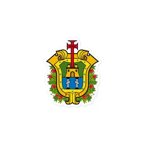 Official Coat of arms of Veracruz Die cut Bubble free stickers, 3"x3", White