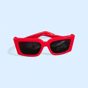 Ferregamo sunglasses