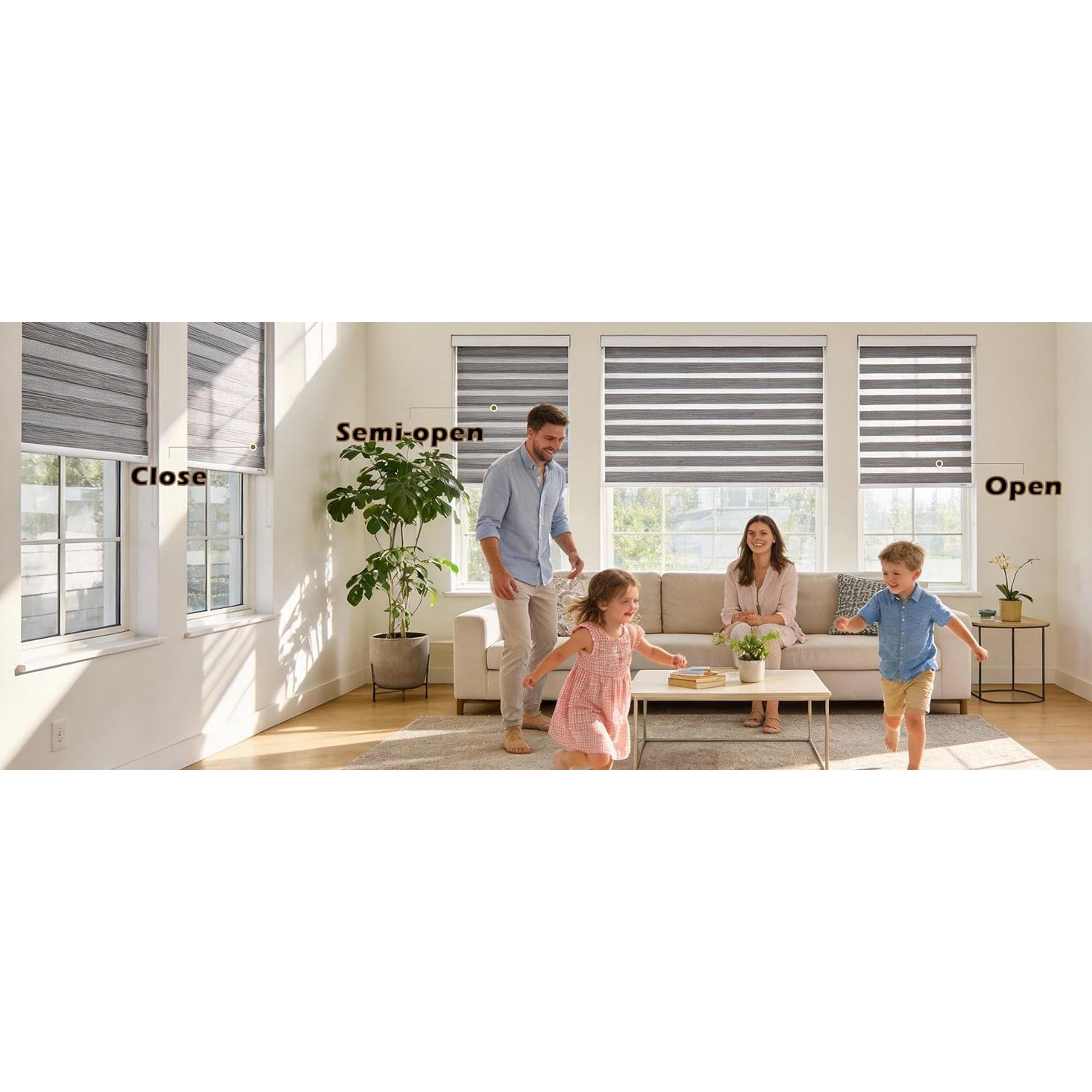 Cordless Zebra Pattern Roller Blind for Indoor Home Windows, Free-Stop Dual Layer Light Filter Sheer Shades (22" W X 72" H, Grey)