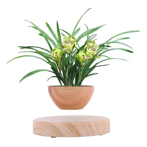 Magnetic Levitating Plant Pot, Floating Rotating Planter with Wood Grain Base, Air Bonsai Pot for Home, Office, Desk Decor