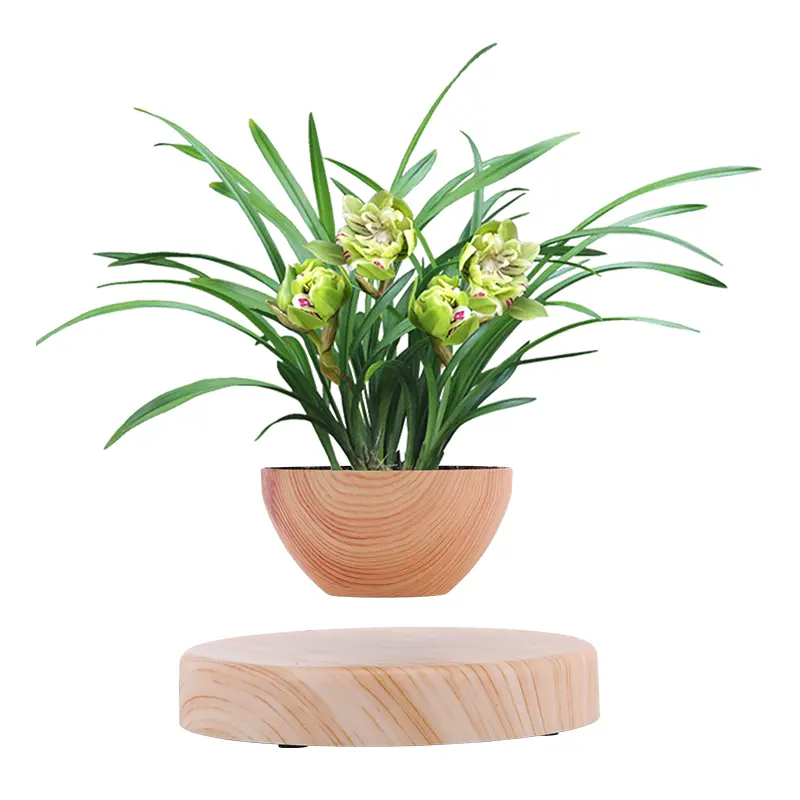 Magnetic Levitating Plant Pot, Floating Rotating Planter with Wood Grain Base, Air Bonsai Pot for Home, Office, Desk Decor