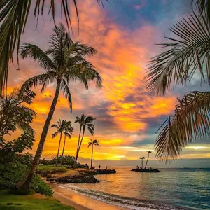 background preload poster image 