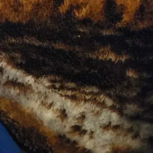 review image 6