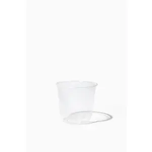 NATURAL 6oz Rounded Bottom Compostable Arc Cup - Bulk