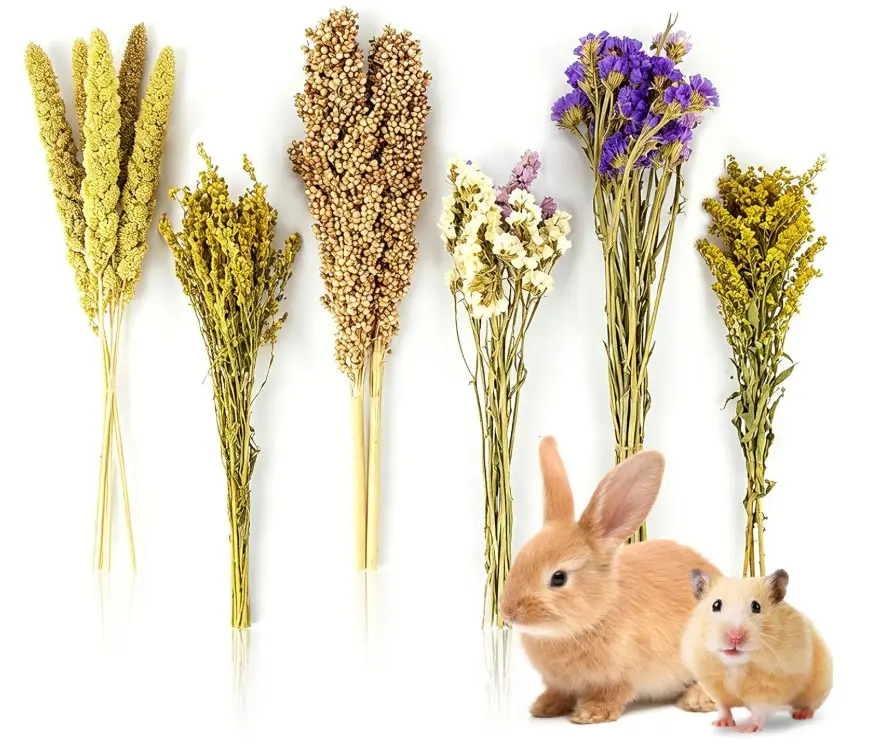 Sukh Natural Hamster Bedding Sprays - Foraging Habitat Decor Cage Accessories, Hideout Enrichment for Dwarf & Syrian Hamsters, Gerbils, Mice and Other Small Animals