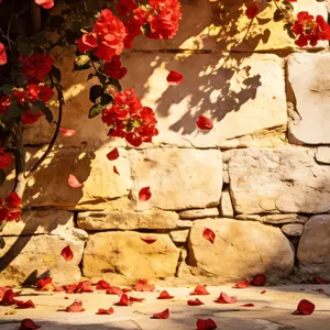 Bougainvillea Plant for Planting – Tropical Flowering Vine for Backyard, Balcony & Indoor Containers, Easy Care for Beginners, Home Garden Friendly