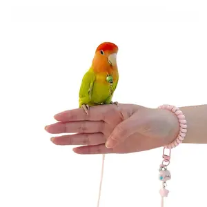 Birds go out on traction ropes, parrots release ropes, bird walking artifacts, tiger skin extension, peony, sun telescopic special Xuanfeng