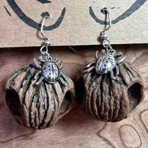 Black Walnut Shell Earrings with Lady Bug Charms
