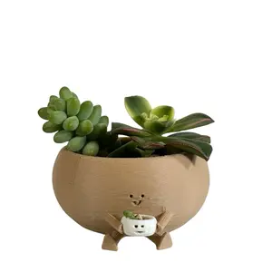 Cute Planter Pot - Flower Vase for Succulents & Flowers, Available in Multiple Sizes and Colors, Perfect for Indoor Decor