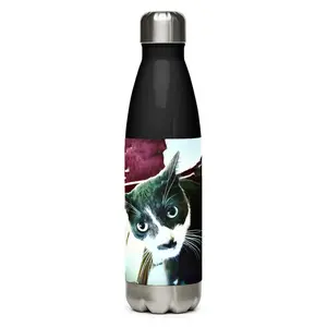 Bandit Sass Stainless steel water bottle
