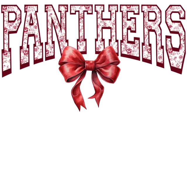 Panthers Bow DTF Transfer