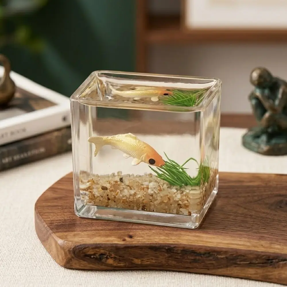 DIY Moss Terrarium Kit: Thick Glass Hydroponic Planter with Tools, Mini Desktop Garden for Home Office Decor, Creative Art Craft & Stationery Gift Idea