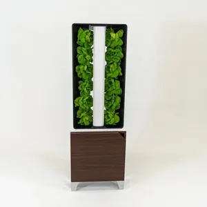 Vertical Garden