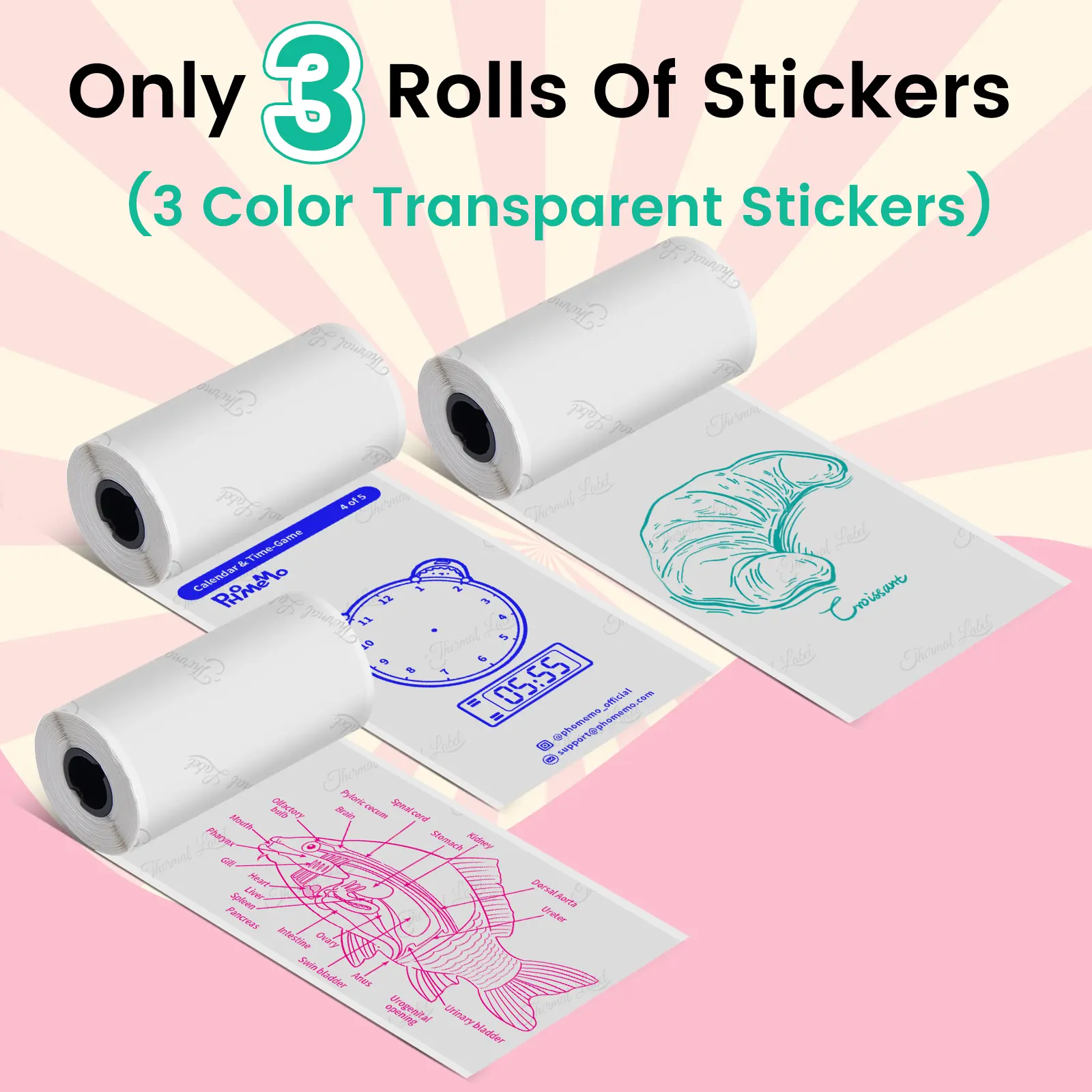 3 color sticker 