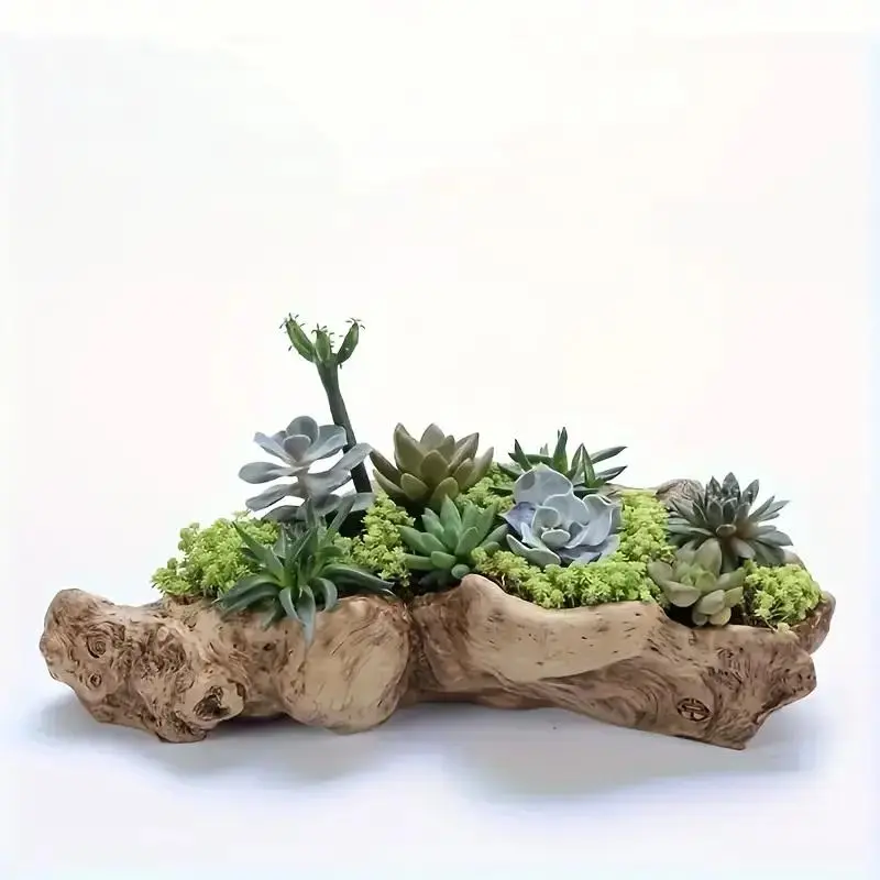 Unique Irregular Shaped Resin Succulent Planter, Succulent Pot, Indoor Planters, Planter Pots, Durable Abs Material, Perfect for Home, Office & Garden Display, No Plants Included