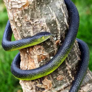 Christmas Gift 3pcs Realistic Snakes Props Prank Snakes Decor for Adult Rubber Snakes Figure Soft Fake Snakes Toy Garden Snake Scare Birds and Squirrels Snake Model Decoration for Home Halloween Party Favors, Prank Friends Family Colleagues