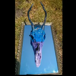 roe deer skull display