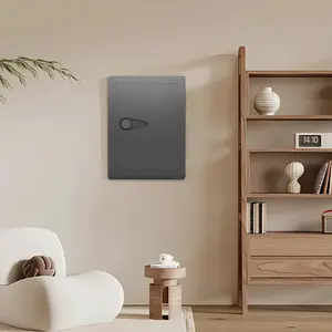 THOF,rapid access,pistol safe,2 ways to unlock,Passcode,key,Applicable wall,Wall Safes Between the Studs, Hidden Safe with Digital Keypad, Removable Shelves,Avoid security risks