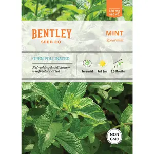 Mint, Spearmint Seed Packets