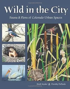 USED-Wild in the City: Fauna & Flora of Colorado Urban Spaces by Heidi Synder (Paperback)