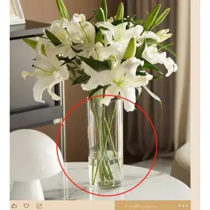 Acrylic vase, round vase, transparent straight cylinder, ins-style hydroponic plant bottle, ecological bottle, simple decorative flower container