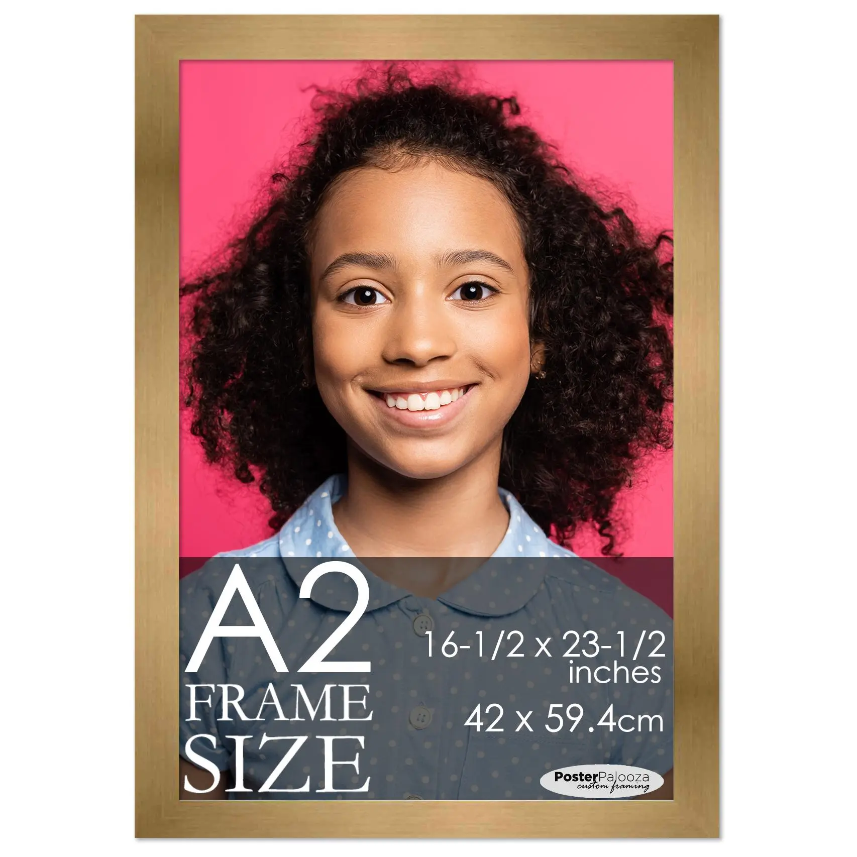 A2 Frame Gold Bronze Modern Minimalist 16.5x23.5 Frame - Wood A2 Picture Frame, UV Acrylic