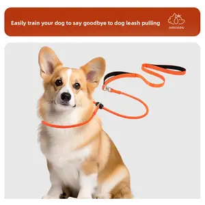 Adjustable Reflective Dog Leash Training Essential High Visibility Pet Leash for Easy Walking