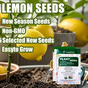 Lemon Seeds for Home Gardening – Easy-to-Grow, Beginner Friendly Fruit Tree Seeds for Backyard, Patio, Balcony, or Container Planting – Fresh Juicy Lemons