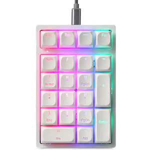 Mechanical Numeric Keypad Hot-Swap Red axis Wired Gaming RGB Backlit PBT Keycap 21  Mini Numpad Portable Keypad Extended Layout(Red axis)