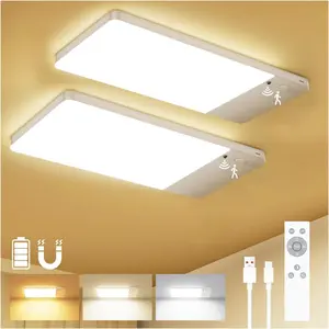 12000mAh  Operated Ceiling Light with Remote, Cordless Overhead Lighting, Adjustable Temperatures & Brightness No Wiring, Motion Sensor Light for Closet Pantry, Hallway, Shed, Shower