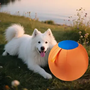 Alaskan Dog Inflatable Toy Outdoor Cartoon Medium Large Dog Herding Ball Interactive No Electricity Handheld Includes Air Pump