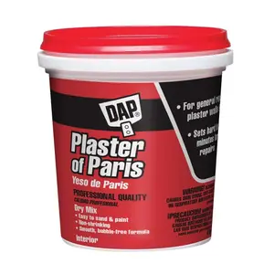 4 lbs. Plaster of Paris