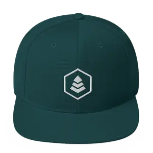 evergreen classic snapback hat