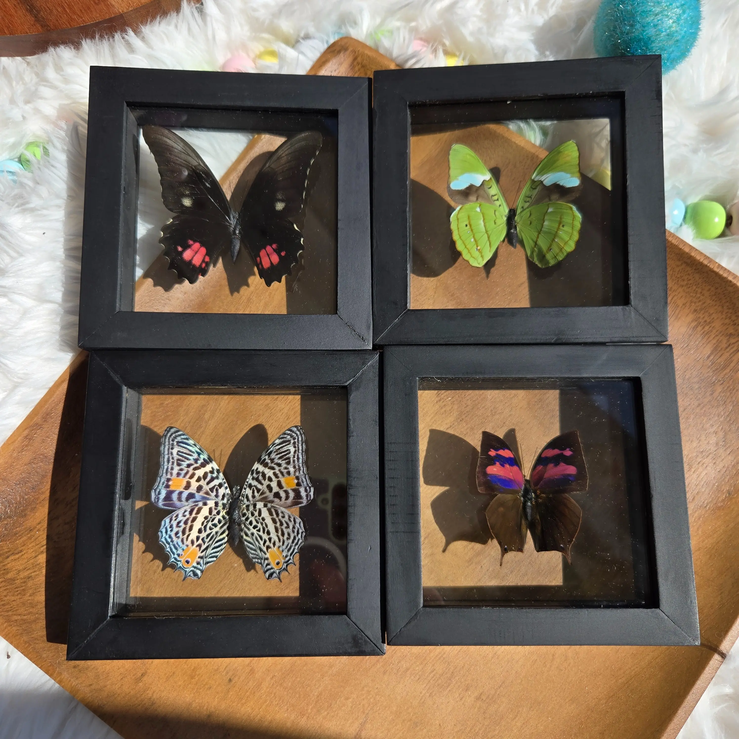 Intuitive Select Framed Peruvian Butterfly Intuitive Select Framed Peruvian Butterfly