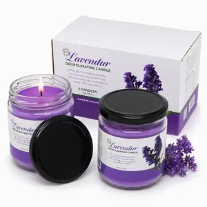FPN Odor Eliminating Candle Set (Lavender) - Pack of 2 (12oz) | 90 Hour Burn Time | Premium Soy Wax Candles | Eliminates 99% of Pet, Kitchen, & Smoke Odors | Eco-Friendly & Long-Lasting