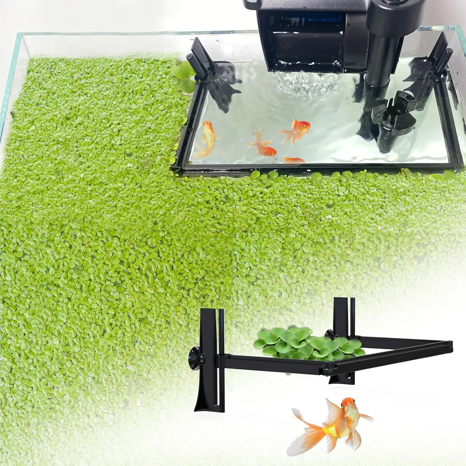 Aquarium Floating  Barrier, Floating  Corral Self Adjusts to Water Level Fish Tank Fence Keeps The Floaters  from The Filter