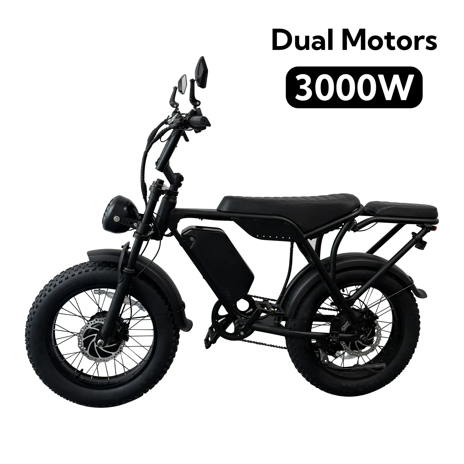 Dual-motor model (Peak power: 3000W)