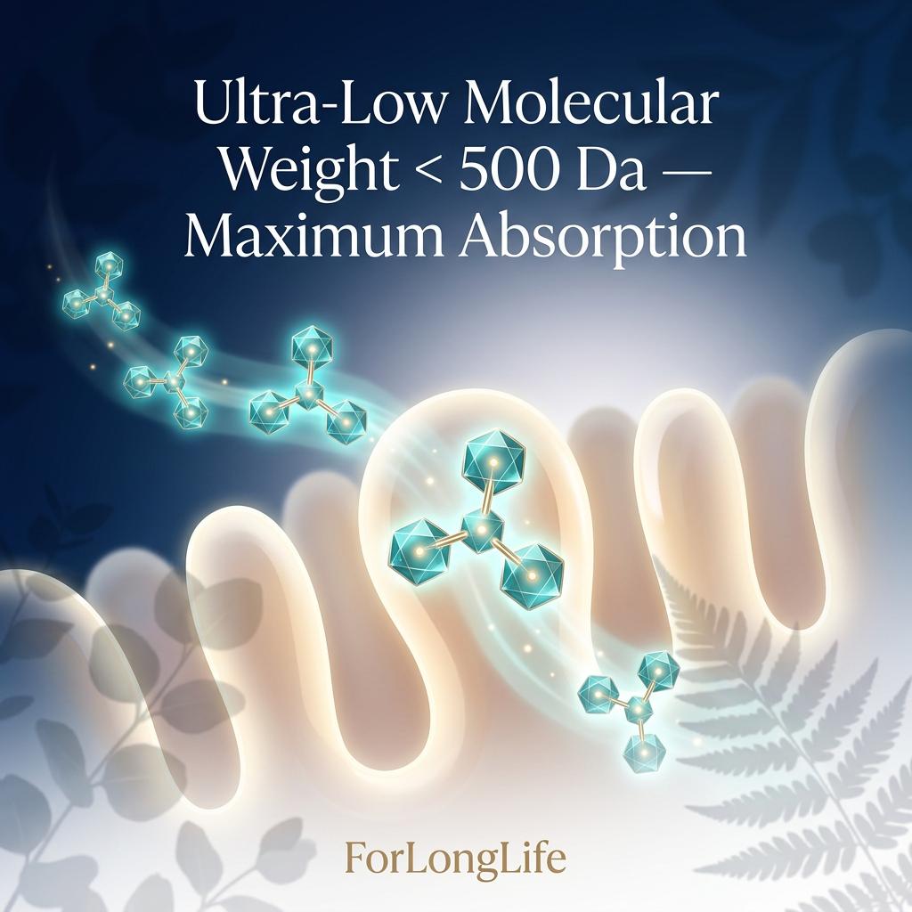 Collagen Tripeptide – Beauty & Joint Support