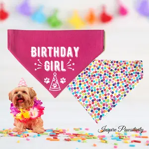 Birthday Girl Bandana, Reversible Over the Collar, Slip on, Matching Pet & Owner, Birthday Bandana, Pink Bandana, Dog or Cat Birthday Gift