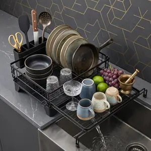 Expandable Dish Drying Rack for Kitchen Counter Large Capacity Rust Resistant Dish Drainer with Swivel Spout