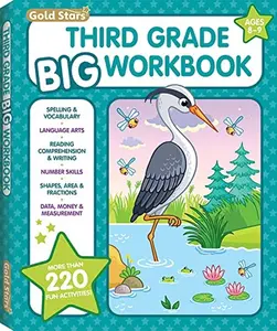 3rd Grade BIG Workbook All Subjects for Kids 8 - 9 includes 220+ Activities, Spelling, Grammar, Reading Comprehension, Writing, Math, and More Paperback