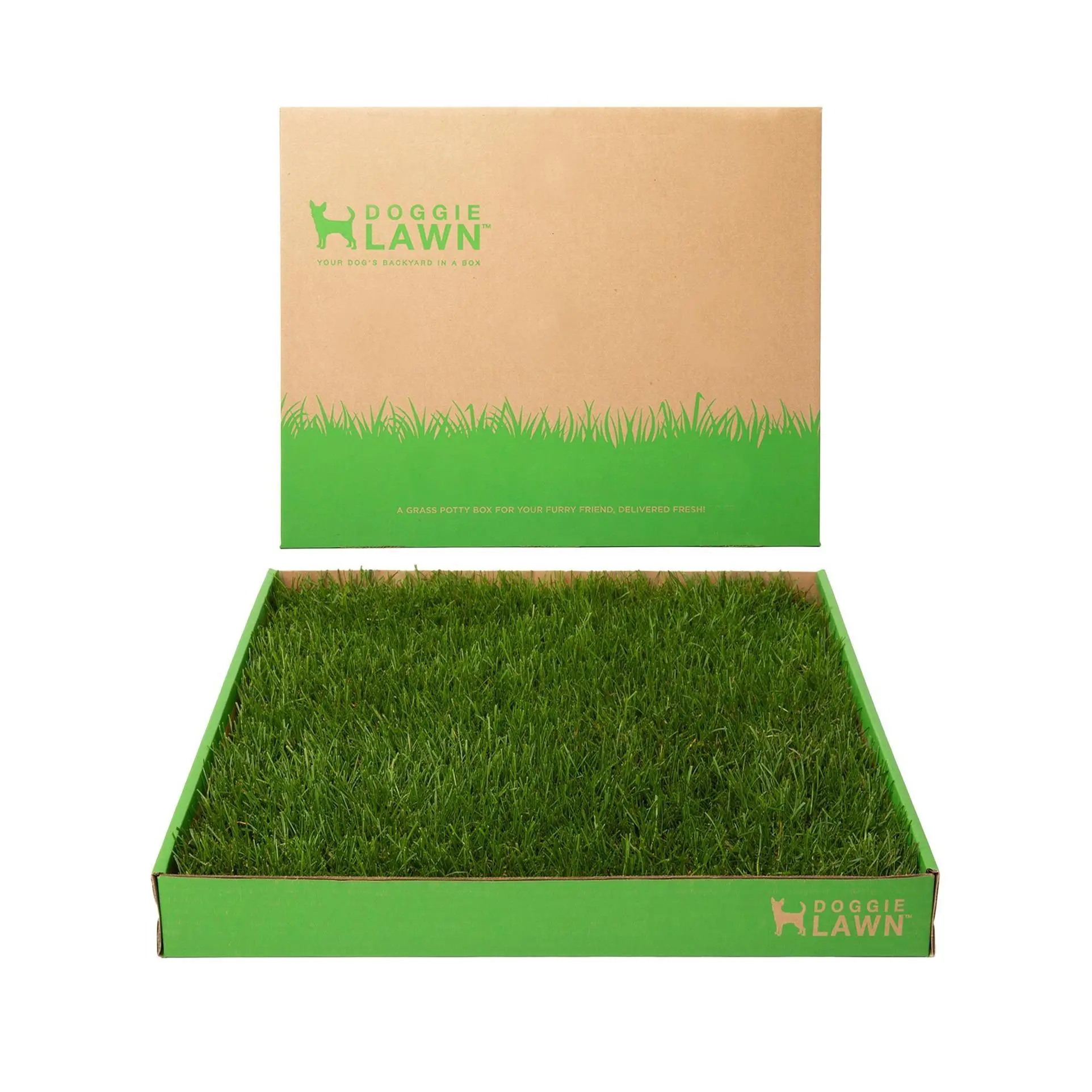 Medium 24” x 20”