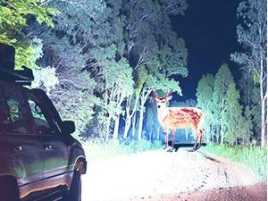 Nilight Headlights Assembly for Honda Accord sedan 2008 2009 2010 2011 2012 Headlamp Black Housing Amber Reflector