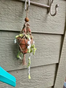 Crochet and Macrame Mini Hanging Potted Plant Decor Hanger